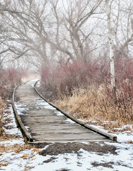 Foggy Hike - Free image #296063